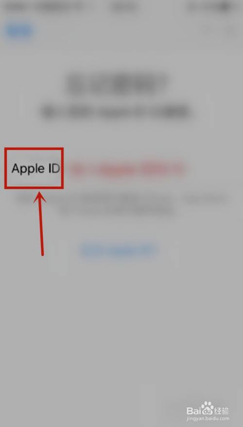 外版苹果手机id账号苹果手机注册新id账号-第2张图片-太平洋在线下载