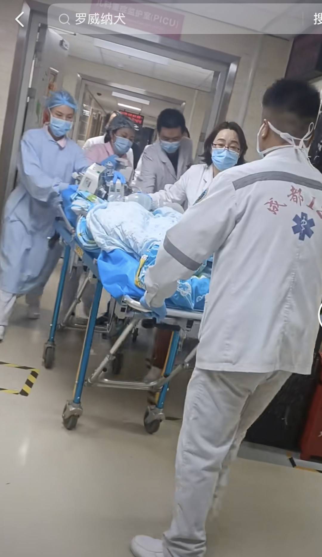 四川崇州被大狗咬伤女孩妈妈发声：孩子目前昏迷 已转到华西医院进行后续治疗