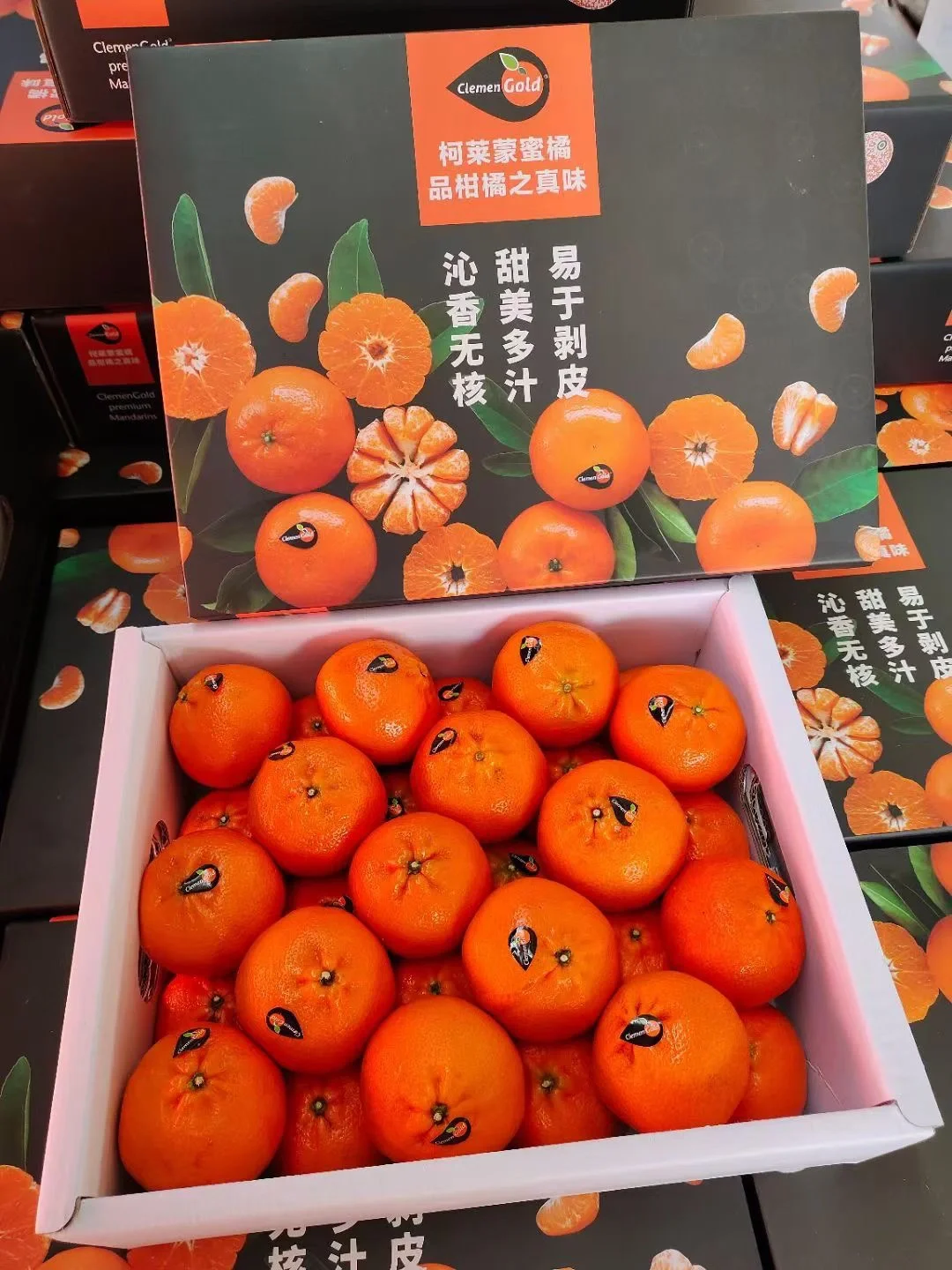 柑橘苹果版(下载柑橘阅读)-第5张图片-QuickQ官网