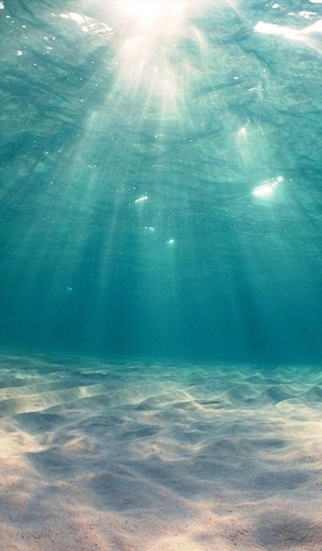 新浪新闻手机触屏版(新浪新闻客户端手机版)-第5张图片-QuickQ官网