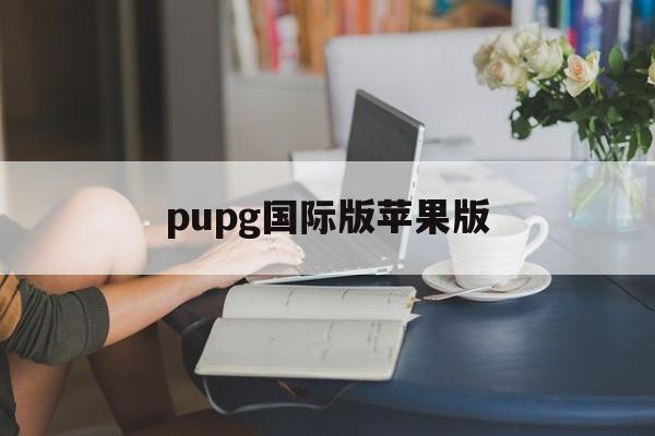 pupg国际版苹果版(pubg国际版苹果下载)-第4张图片-QuickQ官网