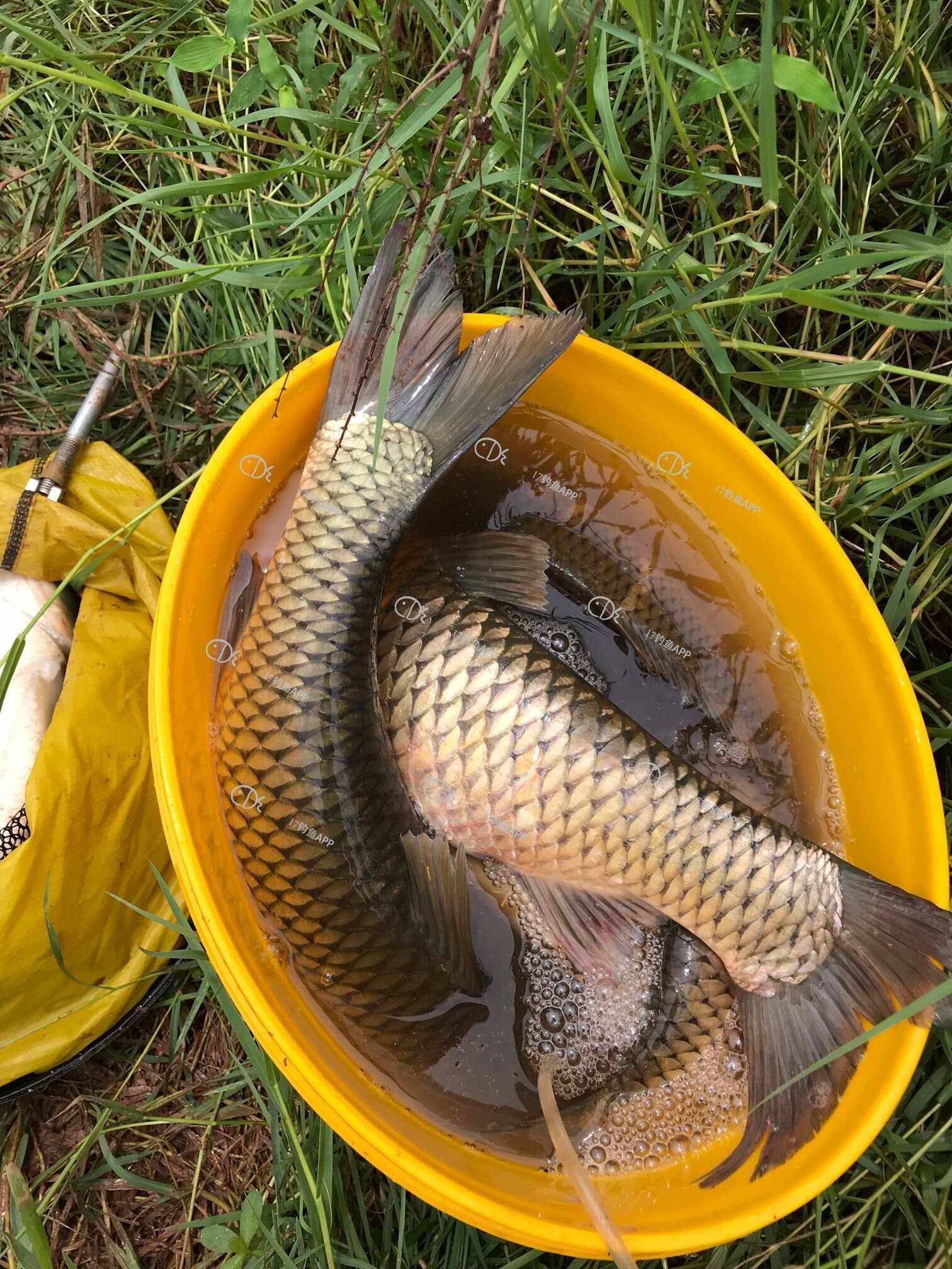 重钓网手机版下载安装(重庆重钓网络科技有限公司)