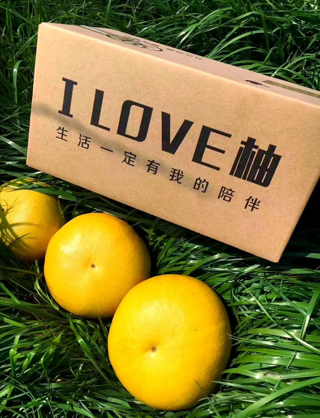 苹果柚啥版(苹果柚产地)-第2张图片-QuickQ官网