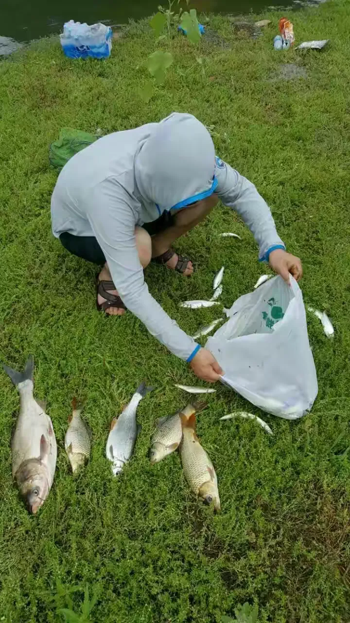 渔乐无穷手机版官网(渔乐无穷手机版官网下载)-第5张图片-QuickQ官网