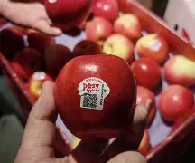 supdy苹果版(superpads苹果版)-第5张图片-QuickQ官网